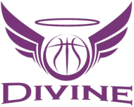 (c) Divinebasketball.nl